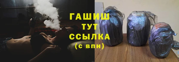 прущие грибы Вяземский